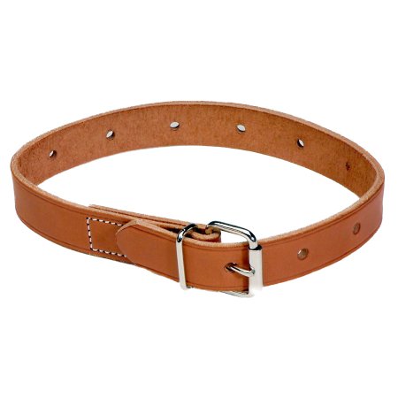 Humane Restraint Restraint Belt Humane Restraint® Small Roller Buckle 1-Strap - Each - B-230-POLY-EA