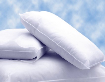 The Pillow Factory Division Bed Pillow Personal Pillow 17 X 22 Inch White Disposable - Case of 12 - 51107-441-CS