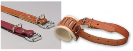 Humane Restraint Restraint Belt X-Small Roller Buckle 1-Strap - Each - B-218-POLY-EA