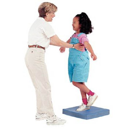 Patterson Medical Supply Soft-Touch™ Therapy Wedge Plum 24 W X 28 D X 12 H Inch - Each - 552103-EA