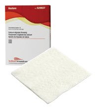 Hollister Silver Alginate Dressing Restore™ 2 X 2 Inch Square Sterile - Each - 529967-EA