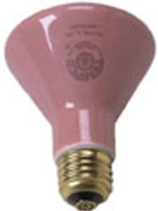 Brandt Industries Diagnostic Lamp Bulb 250 Watts - Each - 054-EA