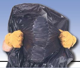 Colonial Bag Corp Trash Bag Colonial Bag 55 gal. Clear LLDPE 0.65 mil 36 X 58 Inch X-Seal Bottom Flat Pack - Case of 200 - CXC58H-CS
