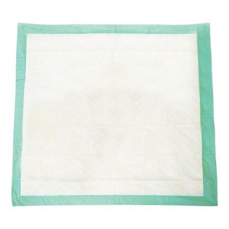 Principle Business Enterprises Disposable Underpad Tranquility® Essential 28 X 30 Inch Super Absorbent Material Moderate Absorbency - Bag of 10 - 2677-BG