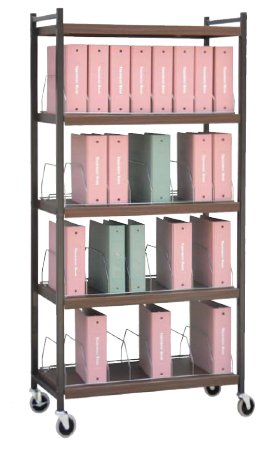 Omnimed Binder/ Chart Rack Big Beam® Omnicart™ 3 Ring Brown 32 Chart Side Opening - Each - 261228-BG-EA