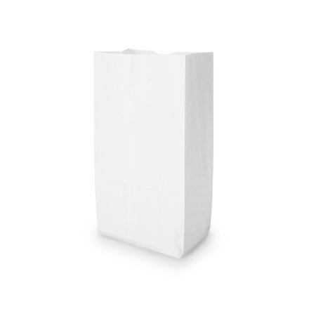 Lagasse Grocery Bag General White Paper #6 - Pack of 500 - BAGGW6500-PK