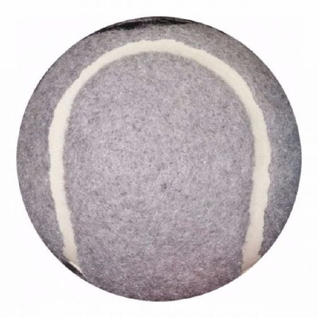 Patterson Medical Supply Briggs Tennis Ball Glide - Pair - 565496-PR