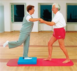 Alimed AIREX® Elite Balance Pad Blue Foam 2-1/2 X 16 X 19-1/2 Inch - Each - 2970000879-EA