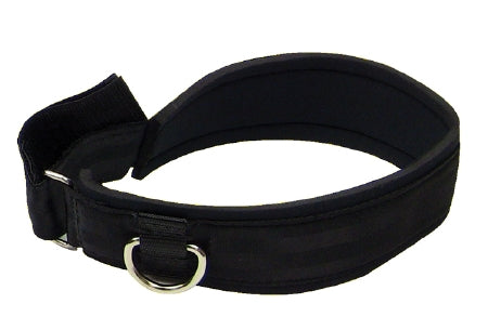 Performance Health Head Strap Thera-Band® Padded, Adjustable Hook and Loop Closure, D-Ring Attachment - Each - 22003-EA