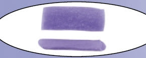 Olympus America Inc Surgical Ear Wick Blu™ 9 X 15 mm 1 Count Pouch - Box of 50 - 7089-0858-BX