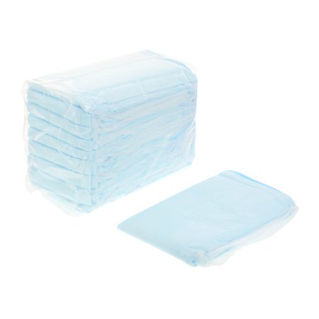 Cardinal Disposable Underpad Wings™ Plus 23 X 36 Inch Fluff / Polymer Heavy Absorbency - Bag of 10 - 7179DP-BG