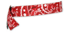 Ergodyne Cooling Bandana Chill-Its® Red Western One Size Fits Most - Each - 12315-EA
