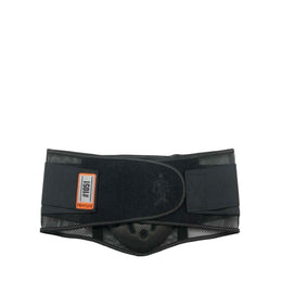 Ergodyne Occupational Back Support ProFlex® 1051 Medium Hook and Loop Closure 30 to 34 Inch Waist Circumference 10 Inch Height Adult - Each - 20184-EA