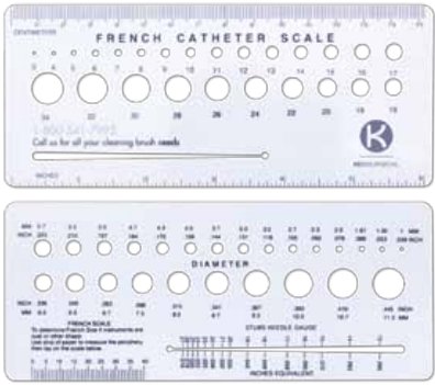 Steris French Catheter Scale Metric / English Plastic 6 Inch - Each - MJ370-EA