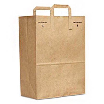 Lagasse Grocery Bag General Brown Kraft Paper 1/6 BBL - Case of 300 - BAGSK1670EZ300-CS