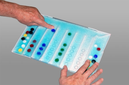 Skil-Care Number-Color Association Pad - Each - 914720-EA