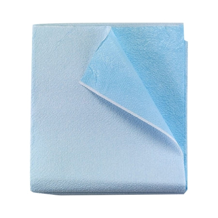 Tidi Products Stretcher Sheet Tidi® Everyday Flat Sheet 40 X 60 Inch Blue Tissue / Polyethylene Film Disposable - Case of 100 - 980926-CS