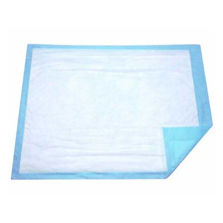 Dukal Disposable Underpad DUKAL 17 X 24 Inch Cellulose Light Absorbency - Box of 100 - 11724-BX