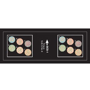 Titmus LLC Vision Screening Slide Titmus™ 20 Foot Distance Color Blind Test - Each - 18072-EA