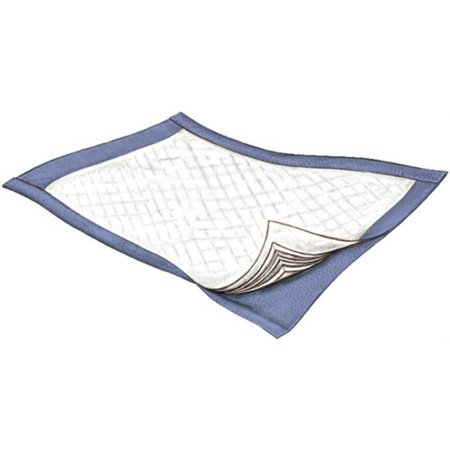 Griffin Care Disposable Underpad Passport™ 22 X 35 Inch Fluff Light Absorbency - Case of 100 - 3830-CS
