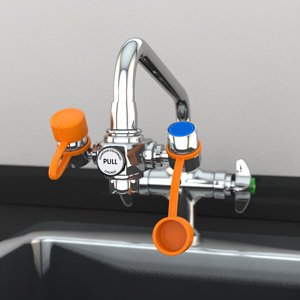 Fisher Scientific Eyewash Station Guardian EyeSafe™ Faucet Mount - Each - 19050632-EA