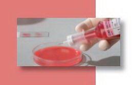 BD Subculture Aerobic Venting Unit Bactec™ 50 Species - Box of 50 - 249560-BX