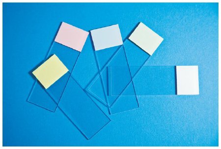 Fisher Anatomical Microscope Slide Fisherbrand™ Selectfrost™ 25 X 75 mm White Frosted End - Case of 1440 - 12550003-CS