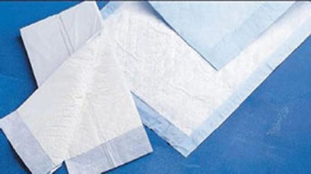 Fisher Scientific Disposable Underpad Protection Plus® 17 X 24 Inch Fluff Moderate Absorbency - Case of 300 - 23666062-CS
