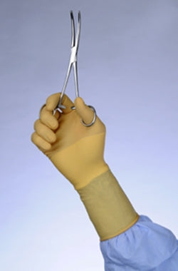 Cardinal Surgical Glove Protexis™ (formerly Duraprene™ Plus ) Size 5.5 Sterile Polychloroprene Standard Cuff Length Smooth Ivory Chemo Tested - Case of 200 - 2D73DP55-CS