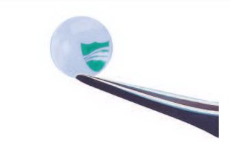 Oasis Corneal Shield Soft Shield® 14.5 mm Diameter Shield - Box of 10 - 7024-BX