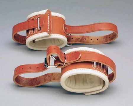 Humane Restraint Ankle Restraint One Size Fits Most Roller Buckle - Pair of 2 - AL-601-POLY-PR