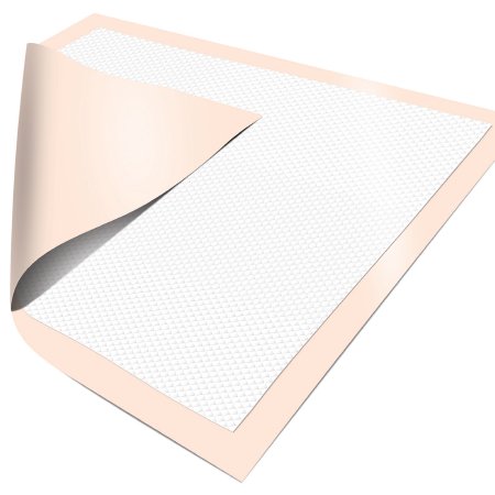 Hartmann Disposable Underpad Dignity® Ultrashield® Premium 30 X 30 Inch Fluff / Polymer Moderate Absorbency - Case of 100 - 333606-CS