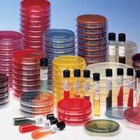 BD Prepared Media BD BBL™ Mueller Hinton II Agar Mono-Plate Format - Box of 1 - 221275-BX