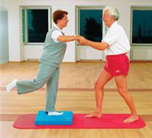 Alimed AIREX® Balance Pad Blue Foam 2-1/2 X 16 X 19-1/2 Inch - Each - 2970000576-EA