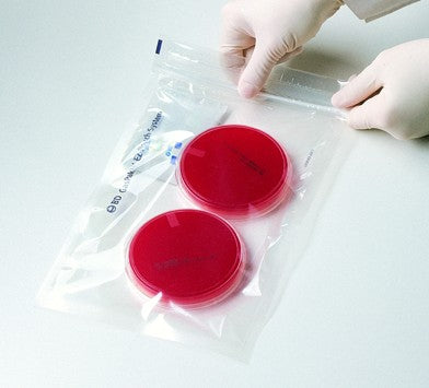 BD Anaerobe Pouch System BD Gaspak™ - Pack of 20 - 260683-PK