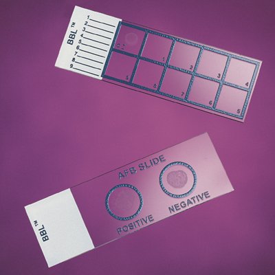 BD Gram Stain Control Slide BD BBL™ 1 X 3 Inch White End - Pack of 50 - 231401-PK