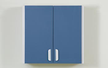 Clinton Industries Single Cabinet Managed Care Quick Wall Mount Chip Resistant PVC 1 Adjustable Shelf - Each - 8224-1GR-066-EA