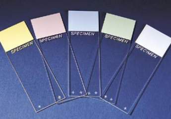 Erie Scientific Charged Microscope Slide Superfrost® Plus 25 X 75 mm Frosted End - Case of 1440 - 4951PLUS-001-CS