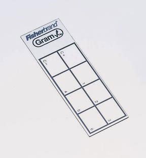 Fisher Scientific Gram Stain Control Slide Fisherbrand™ GramCheck™ White - Pack of 50 - 08801-PK