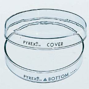 Fisher Scientific Petri Dish Corning™ Pyrex™ Glass - Pack of 12 - 08747A-PK