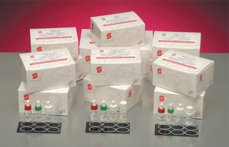 Stanbio Laboratory Autoimmune Test Kit RaPET® RF Latex Agglutination Test Rheumatoid Factor (RF) Serum Sample 50 Tests CLIA Moderate Complexity - KT/50 - 1155-050-KT