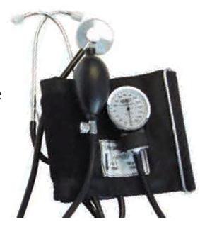 Graham-Field Reusable Aneroid / Stethoscope Set Labtron® 33 to 48 cm Adult Cuff Single Head General Exam Stethoscope Pocket Aneroid - Each - 240-EA