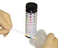 LW Scientific Urinalysis Reagent URS-10 Bilirubin, Blood, Glucose, Ketone, Leukocytes, Nitrite, pH, Protein, Specific Gravity, Urobilinogen For quantitative results 100 per Bottle - VL/1 - URS-10PR-7777-VL