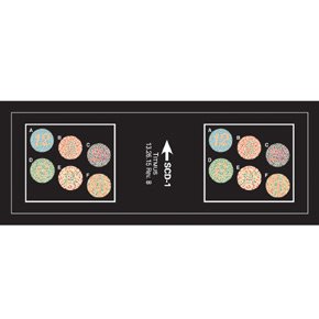 Titmus LLC Vision Screening Slide Titmus™ 20 Foot Distance Color Blind Test - Each - 18071-EA